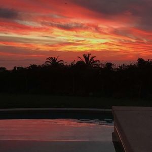 Meet your Posher, Dextor